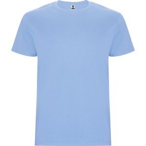 Roly Mens Stafford T-Shirt / Sky Blue